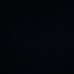 Meet your Posher, Shilo